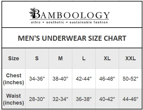 Bamboo Fabric Men's Underwear Super Comfortable,Ultrasoft, Anti Bacterial Briefs, Moisture Wicking | Black