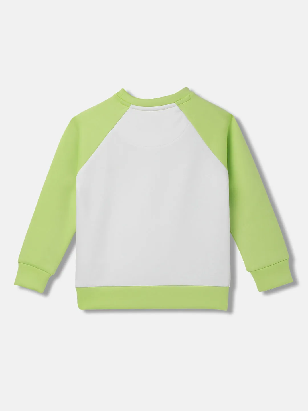 Blue Giraffe Girls Colour blocked Full Sleeves Round Neck Sweatshirt