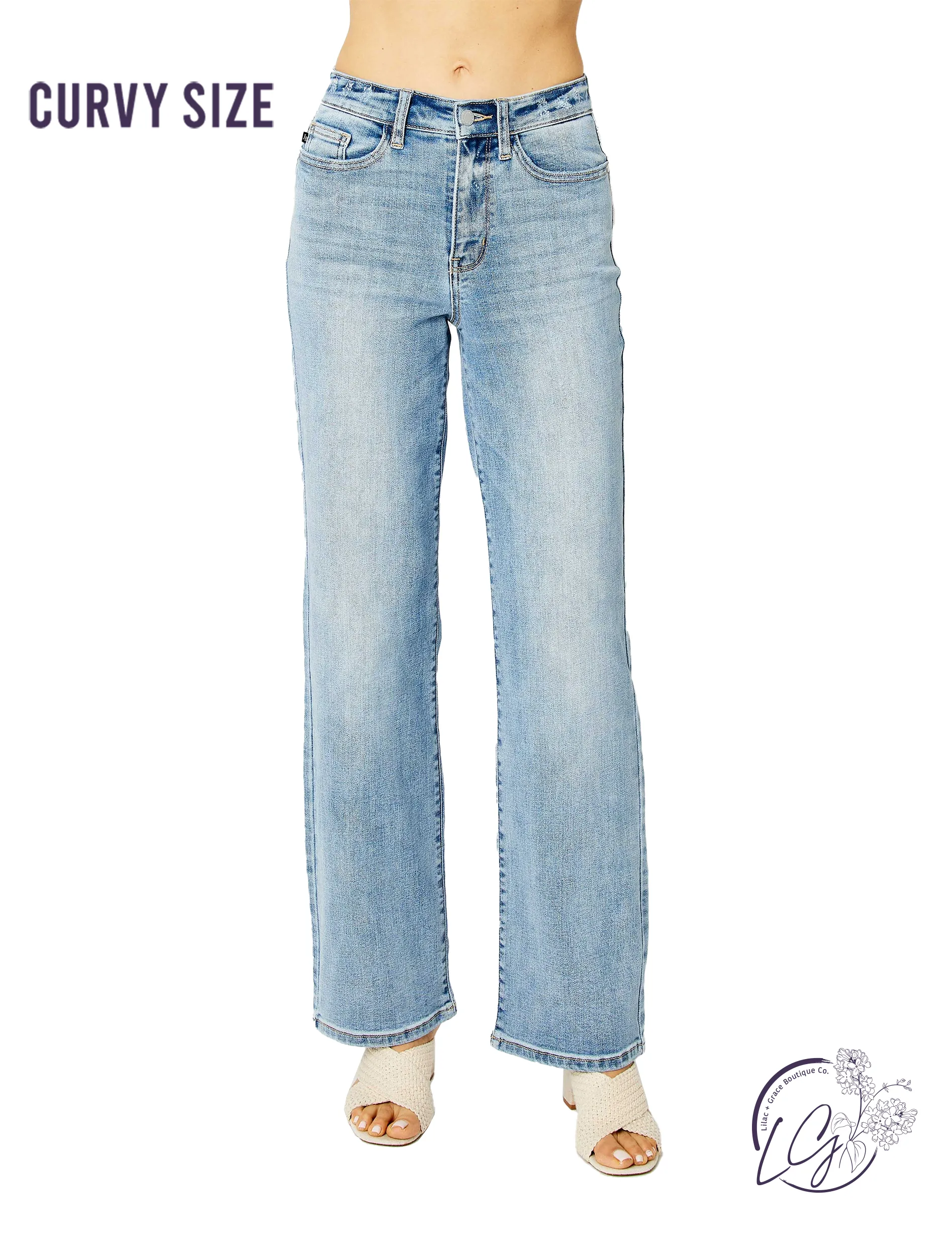 Curvy Karina Light Wash Straight Leg Jeans by Judy Blue