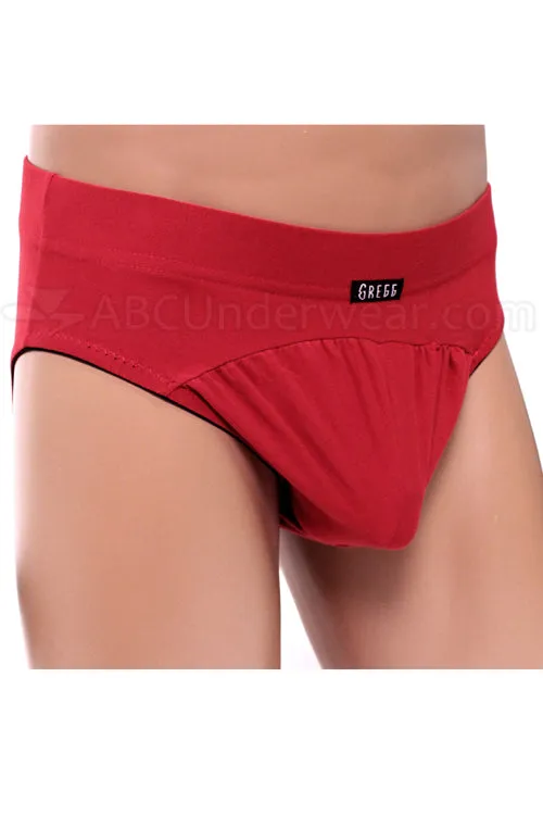 Gregg Contoured Microfiber Brief Underwear - Deep Red