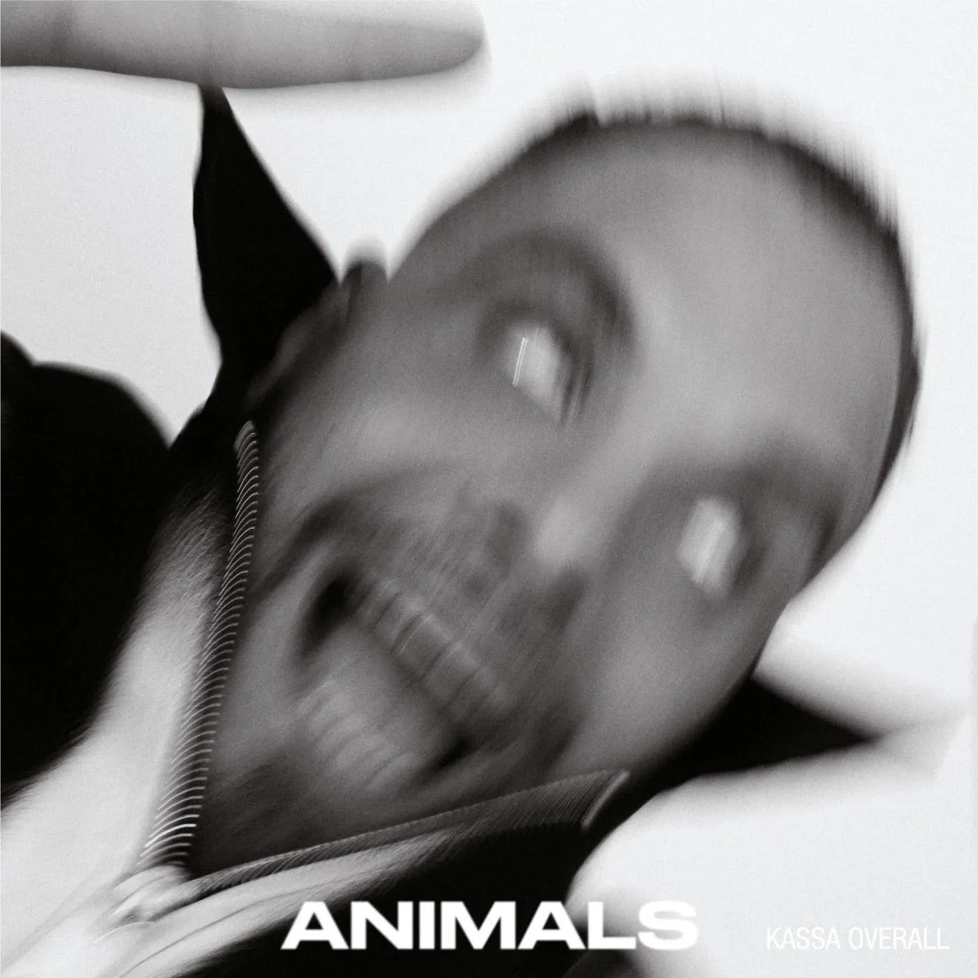 Kassa Overall- Animals (Clear Vinyl)