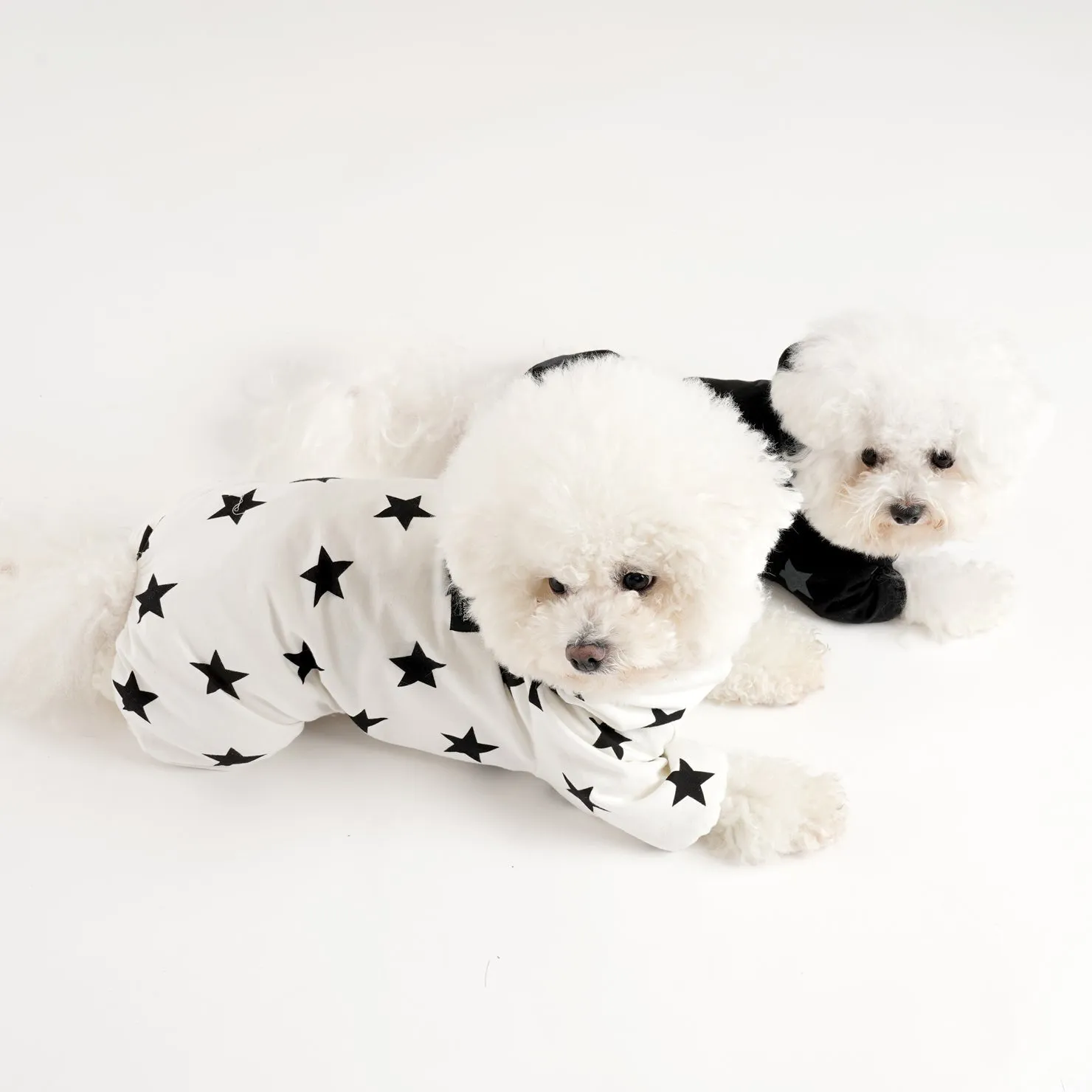 [PA-OR131] PUPPYANGEL Star Single Coverall (For Unisex) ( 2XL ~ 7XL )