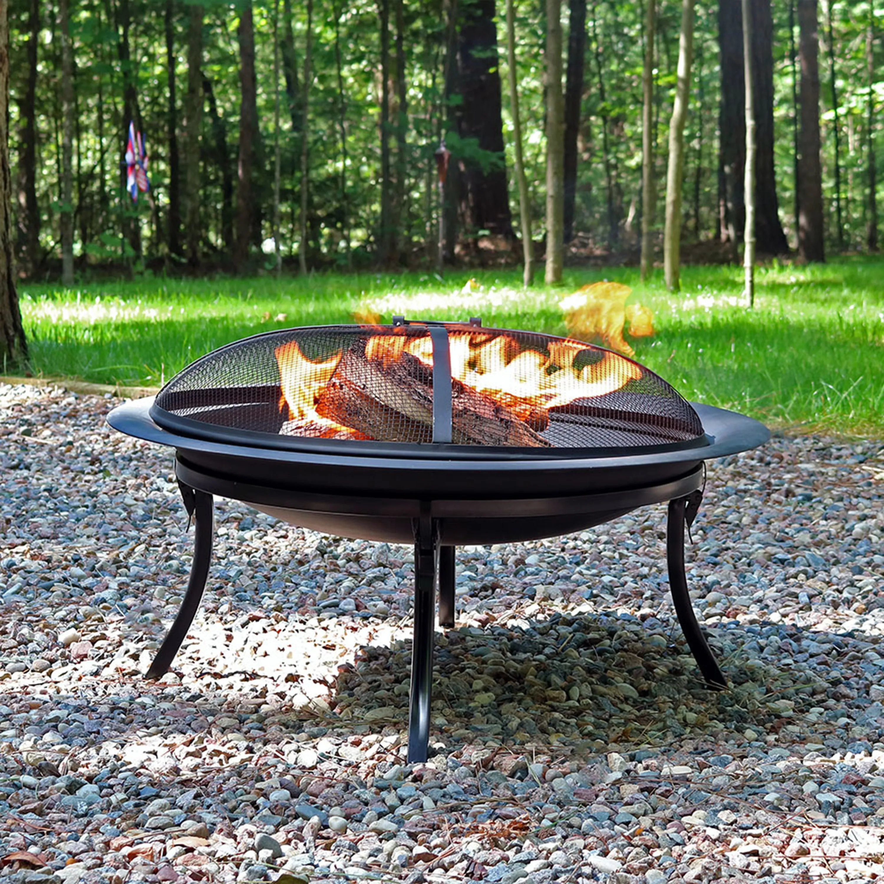 Sunnydaze Portable Fire Pit Bowl with Case and Spark Screen - 29"