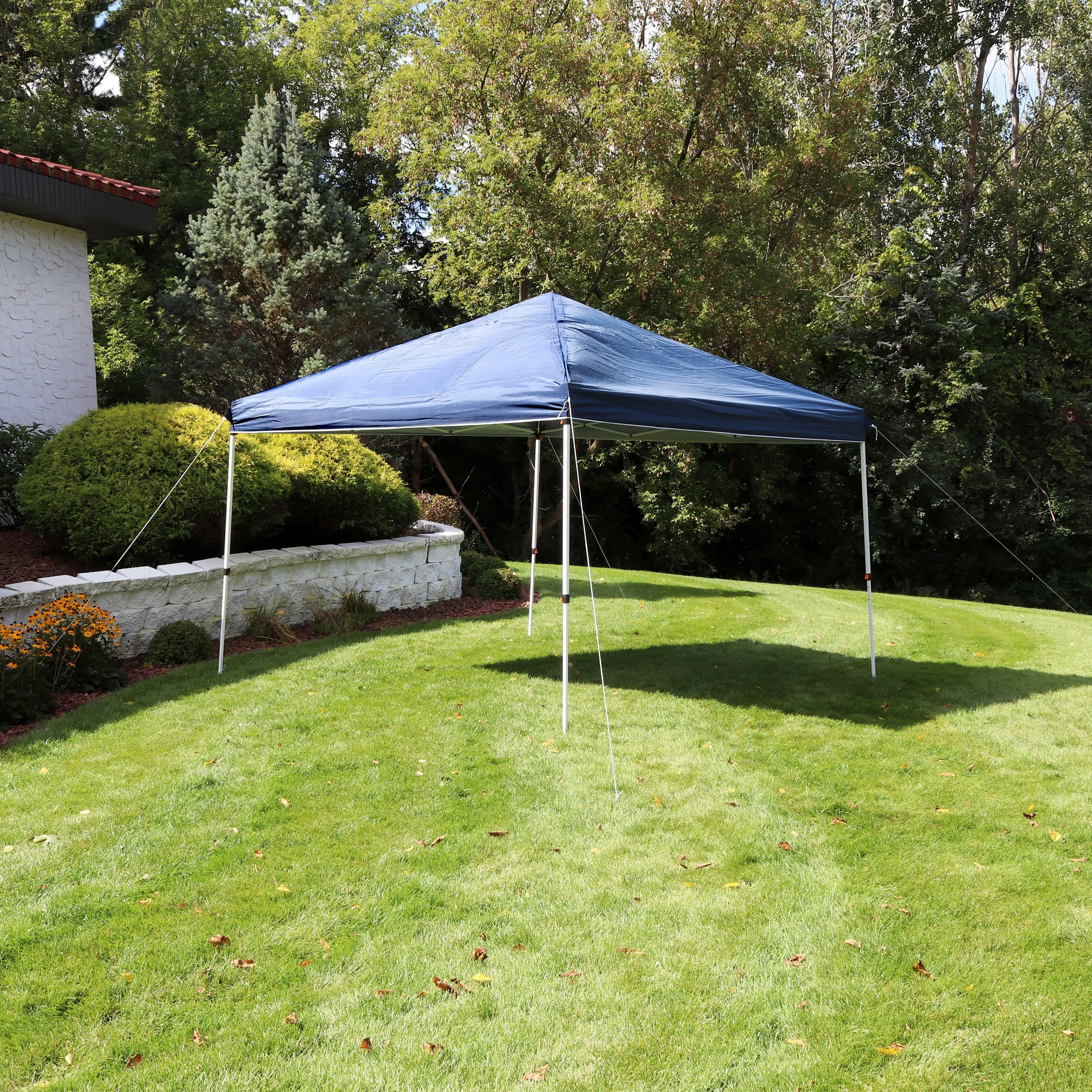 Sunnydaze Standard Pop-Up Canopy with Carry Bag