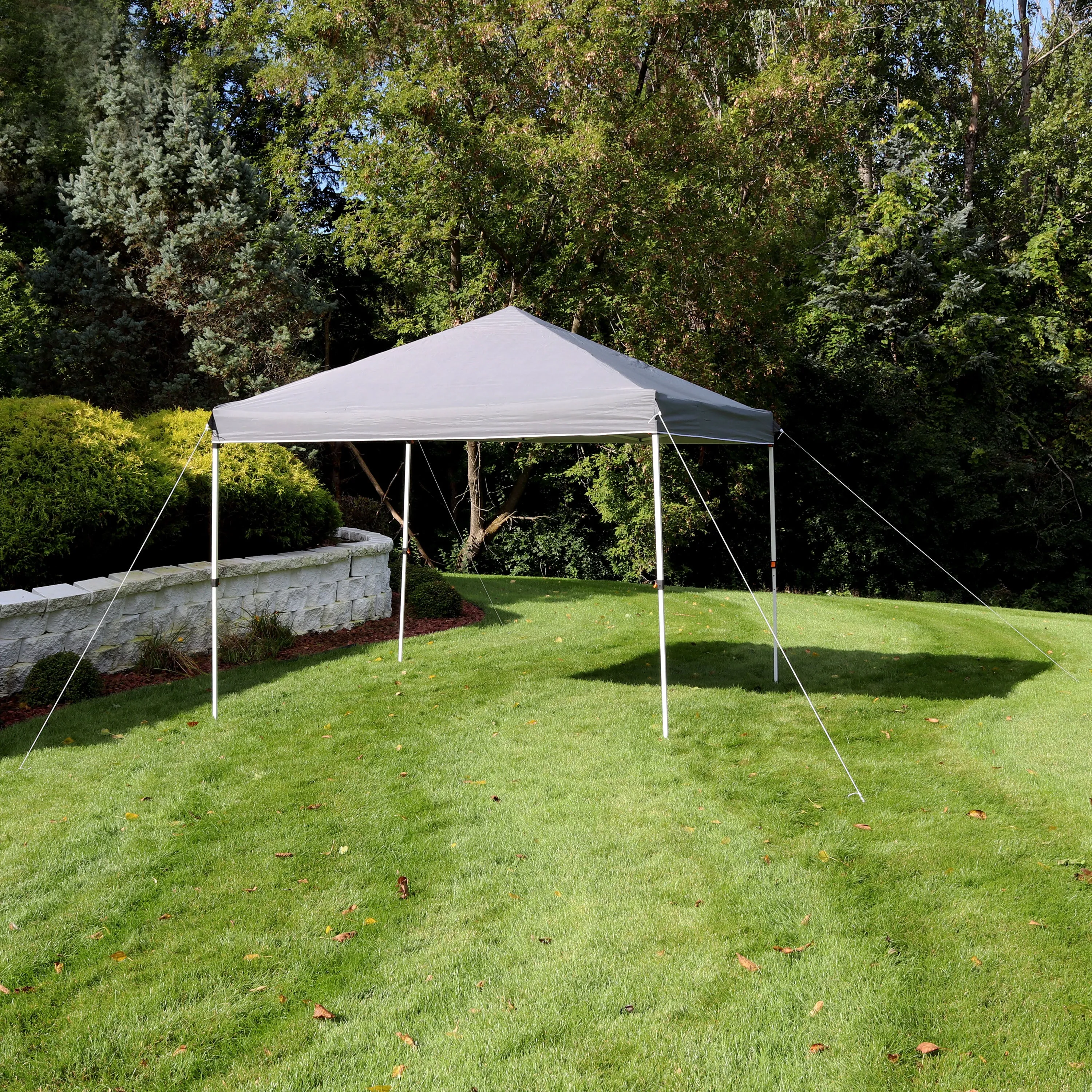 Sunnydaze Standard Pop-Up Canopy with Carry Bag