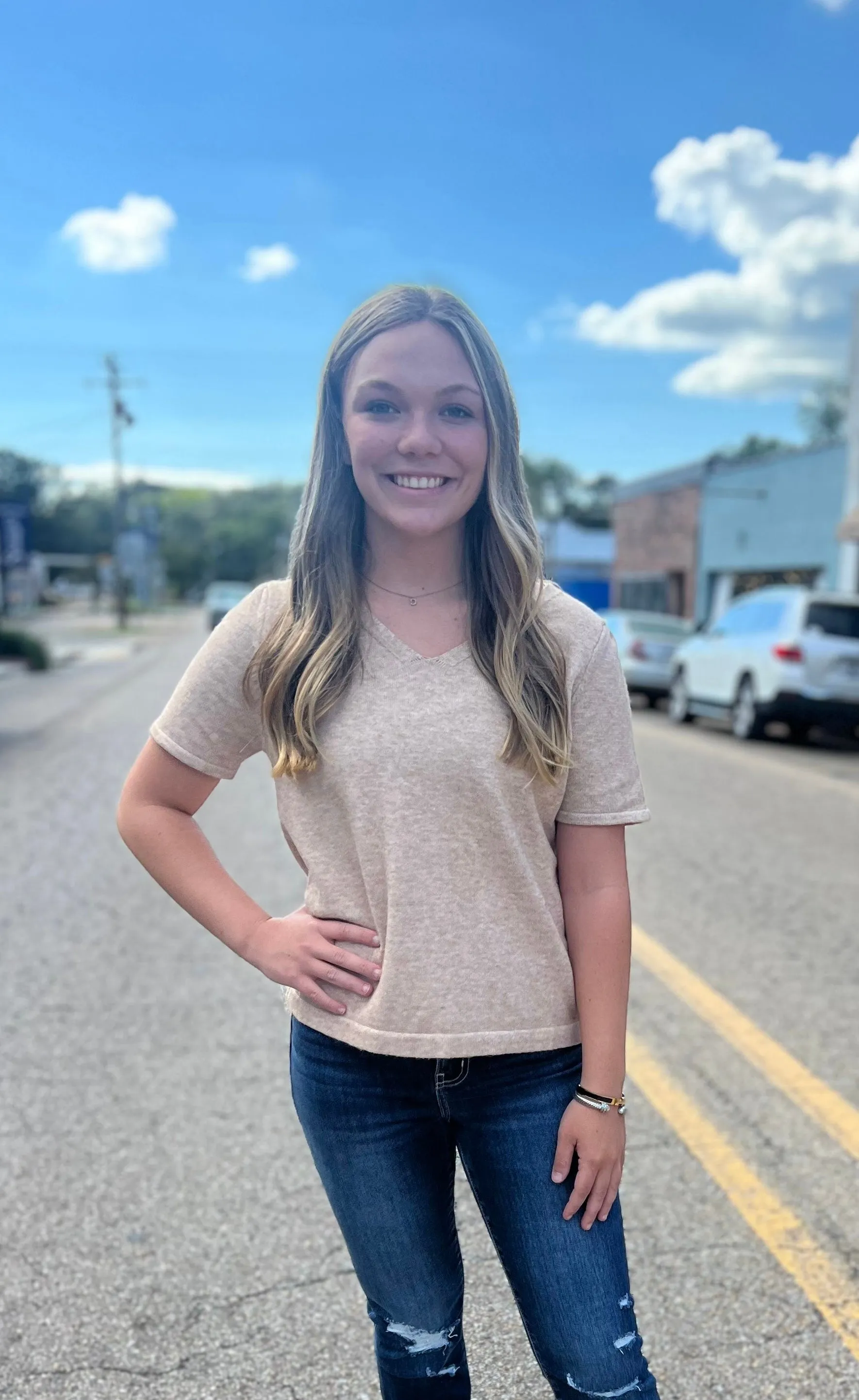 Taupe Sleeve Knit Top