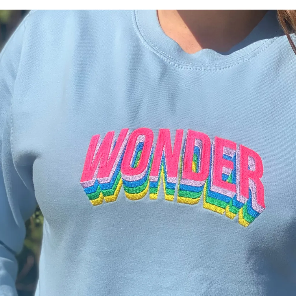 Wonder Sweatshirt In Baby Blue With Neon Embroidery