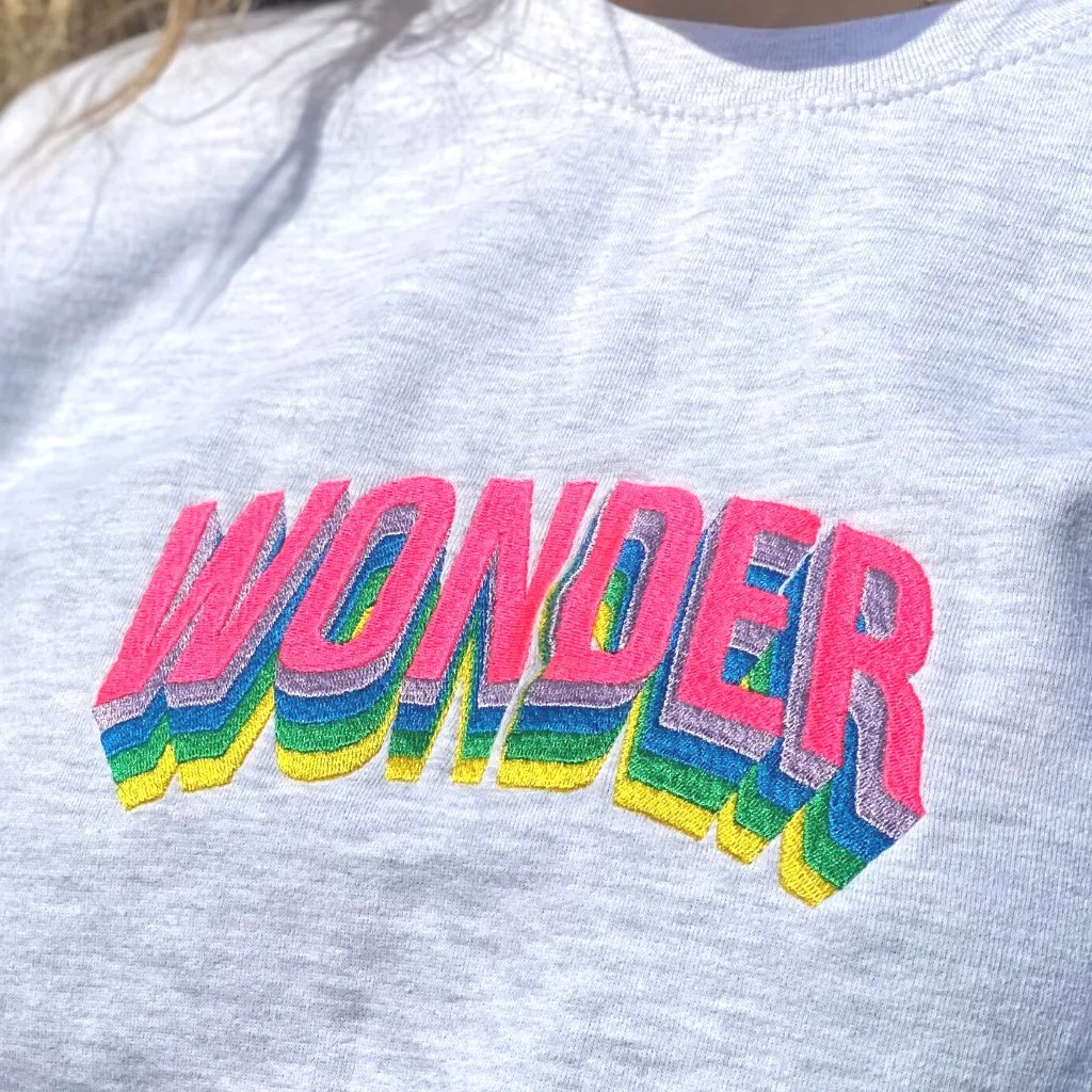 Wonder Sweatshirt In Baby Blue With Neon Embroidery