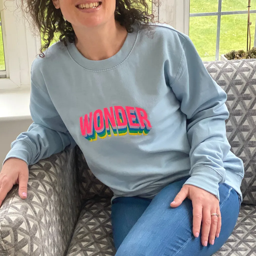 Wonder Sweatshirt In Baby Blue With Neon Embroidery